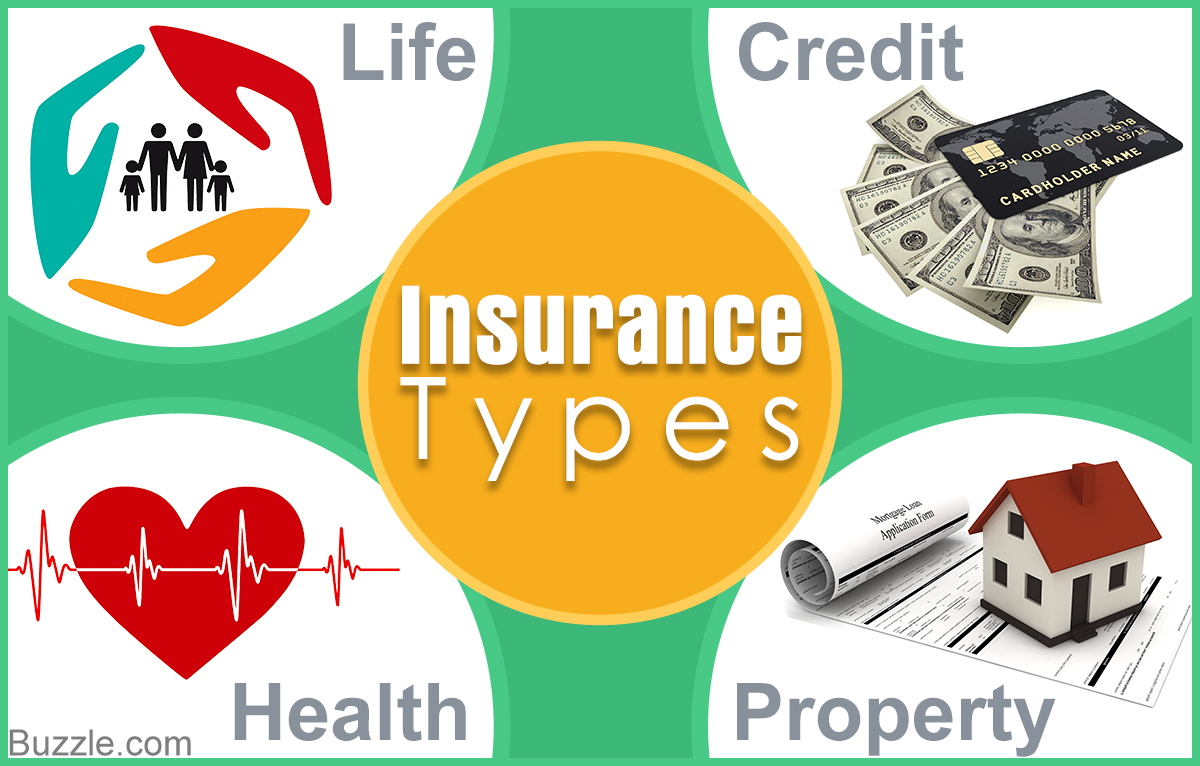 Types Of Insurance | OnlineJess